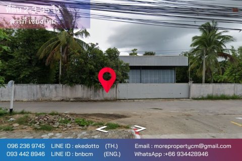 20 dormitorios Land en Chiang Mai, Thailand No. 2219 1