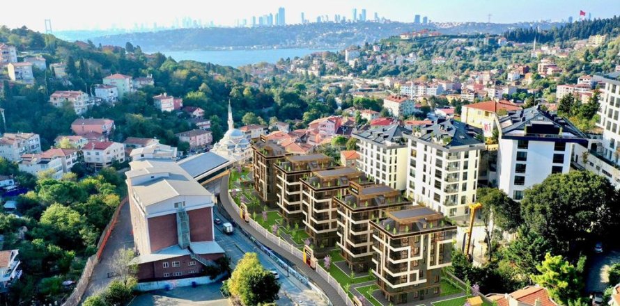 6+2 Apartment en Istanbul, Turkey No. 15263