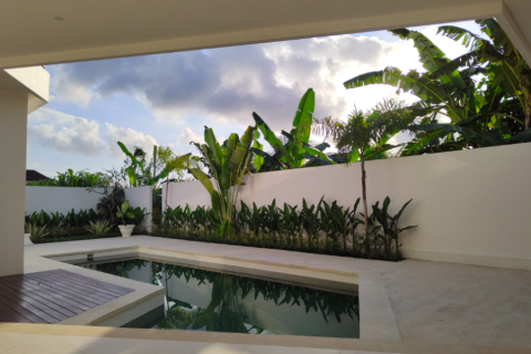 3 bedrooms Villa in Canggu, Indonesia No. 23138 8