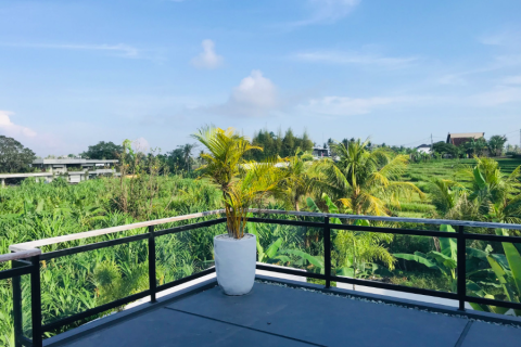 3 bedrooms Villa in Canggu, Indonesia No. 23138 12