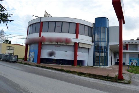 1000m² Commercial property in Chalkidiki, Greece No. 49174 2