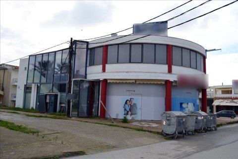 1000m² Commercial property in Chalkidiki, Greece No. 49174 3