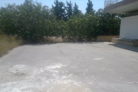 1000m² Commercial property en Peloponnese, Greece No. 49157 8