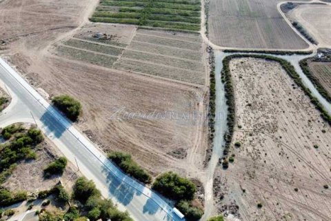 8084m² Land in Pervolia, Cyprus No. 64591 5