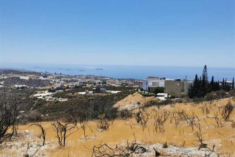 23186m² Land in Agios Tychonas, Cyprus No. 64588 1