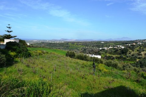 5500m² Land in Rethymno, Greece No. 57519 3