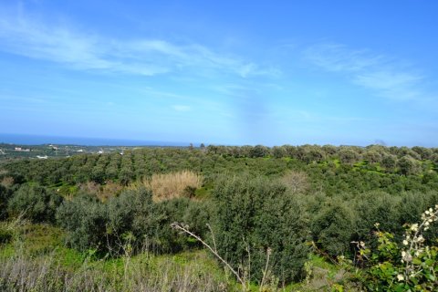 5500m² Land in Rethymno, Greece No. 57519 1