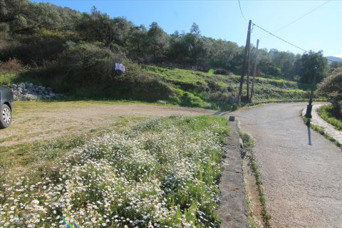 1500m² Land in Corfu, Greece No. 57522 2