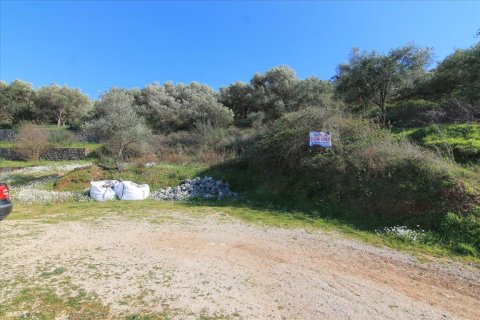 1500m² Land à Corfu, Greece No. 57522 4