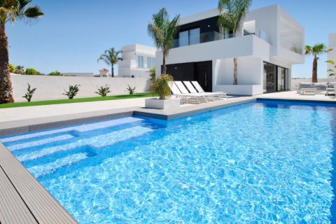 3 bedrooms Villa in Ciudad Quesada, Spain No. 26034 2