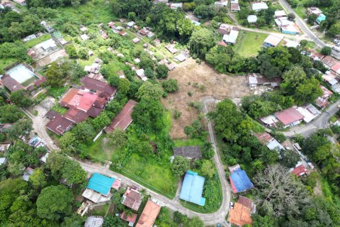 9156m² Land in Panama City, Panama No. 71783 8