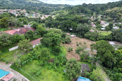 9156m² Land in Panama City, Panama No. 71783 6