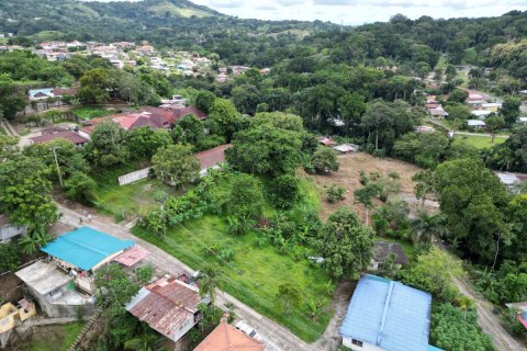 9156m² Land in Panama City, Panama No. 71783 10