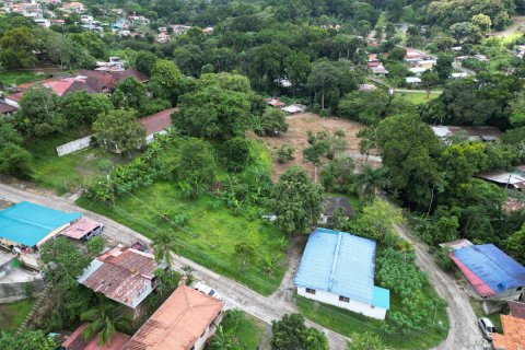 9156m² Land in Panama City, Panama No. 71783 3