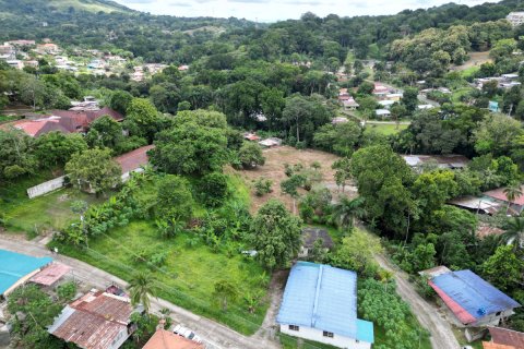 9156m² Land in Panama City, Panama No. 71783 5