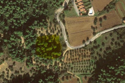 4157m² Land in Chalkidiki, Greece No. 56707 3