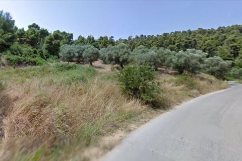 4157m² Land en Chalkidiki, Greece No. 56707 2