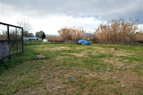 4400m² Land in Corfu, Greece No. 56693 6