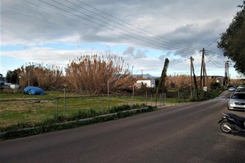 4400m² Land in Corfu, Greece No. 56693 11