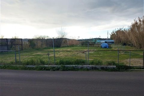 4400m² Land in Corfu, Greece No. 56693 13