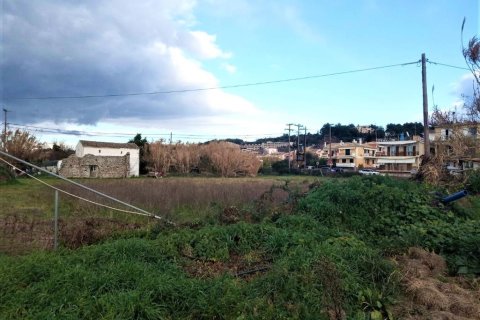 4400m² Land en Corfu, Greece No. 56693 9