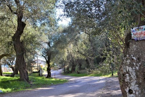 6000m² Land in Corfu, Greece No. 56661 19