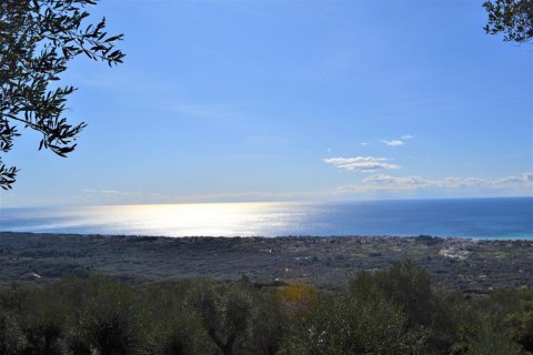 6000m² Land in Corfu, Greece No. 56661 5