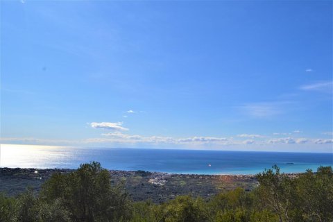 6000m² Land en Corfu, Greece No. 56661 3