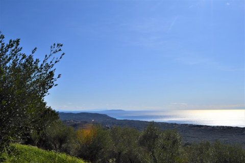 6000m² Land in Corfu, Greece No. 56661 2