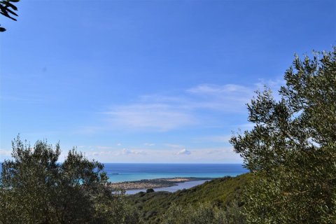 6000m² Land in Corfu, Greece No. 56661 6