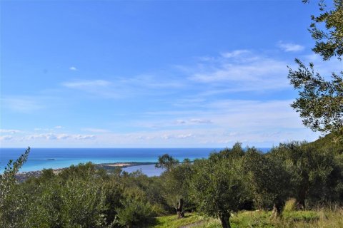 6000m² Land in Corfu, Greece No. 56661 4