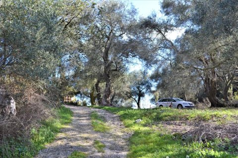 6000m² Land in Corfu, Greece No. 56661 17