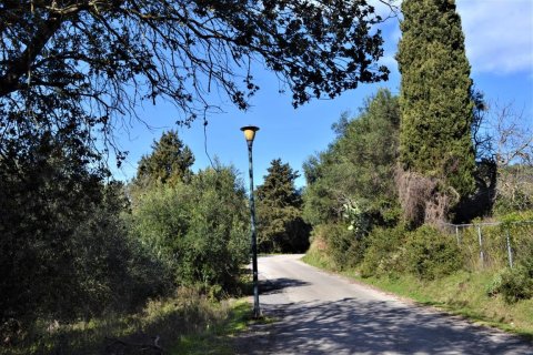 6000m² Land en Corfu, Greece No. 56661 18