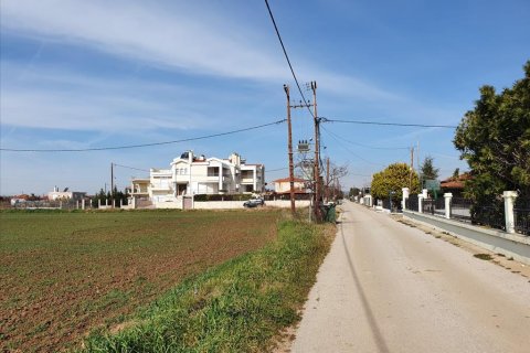 4950m² Land en Chalkidiki, Greece No. 56658 6