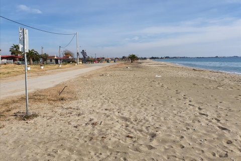 4950m² Land en Chalkidiki, Greece No. 56658 2