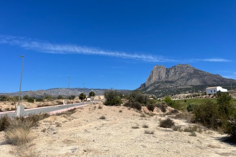 Land à Finestrat, Spain No. 26582 7