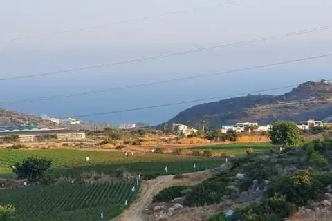 11914m² Land en Agios Tychonas, Cyprus No. 35697 2