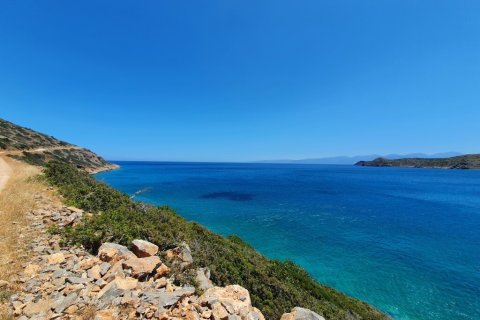 68000m² Land in Agios Nikolaos, Greece No. 56319 5