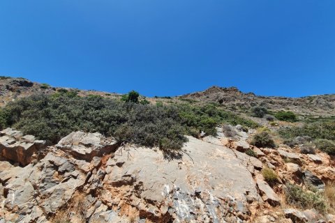 68000m² Land à Agios Nikolaos, Greece No. 56319 6