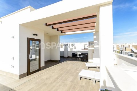 3 bedrooms Villa in Rojales, Spain No. 25757 10