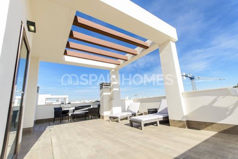 3 bedrooms Villa in Rojales, Spain No. 25757 9