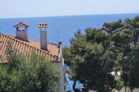 210m² Hotel en Chalkidiki, Greece No. 48793 3