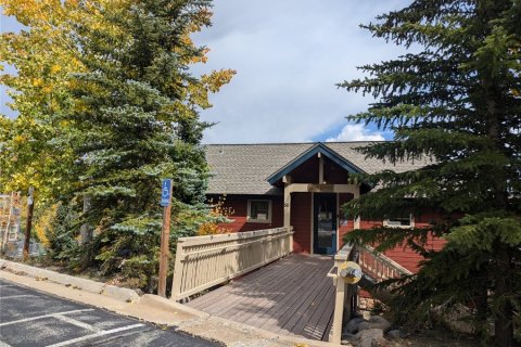 4 chambres Townhouse à Silverthorne, USA No. 62363 5