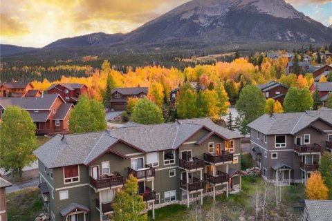 4 chambres Townhouse à Silverthorne, USA No. 62363 9