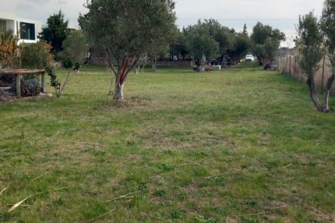 2025m² Land en Chalkidiki, Greece No. 55056 5