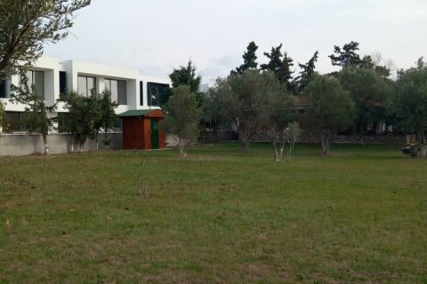 2025m² Land in Chalkidiki, Greece No. 55056 4