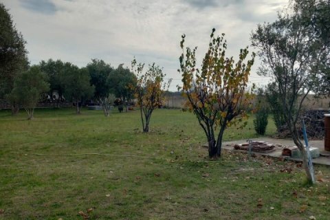 2025m² Land in Chalkidiki, Greece No. 55056 3