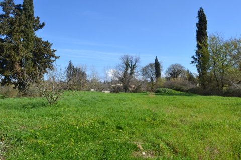 6500m² Land en Corfu, Greece No. 59263 3