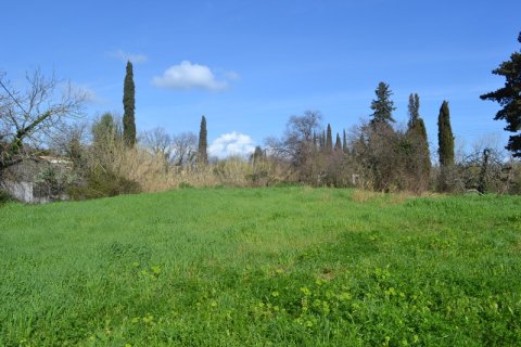 6500m² Land à Corfu, Greece No. 59263 1