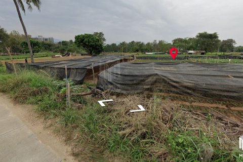 20 dormitorios Land en Chiang Mai, Thailand No. 2165 6